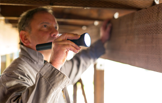 Inspector Paul Murrer