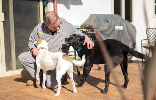 Paul Murrer & friends